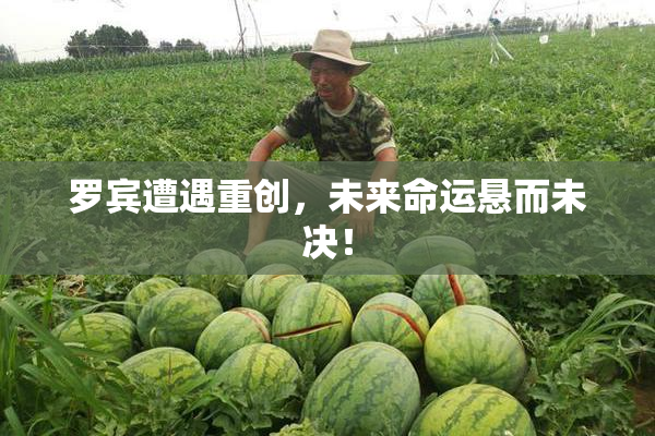 罗宾遭遇重创，未来命运悬而未决！