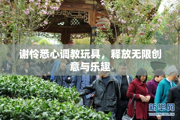 谢怜悉心调教玩具，释放无限创意与乐趣