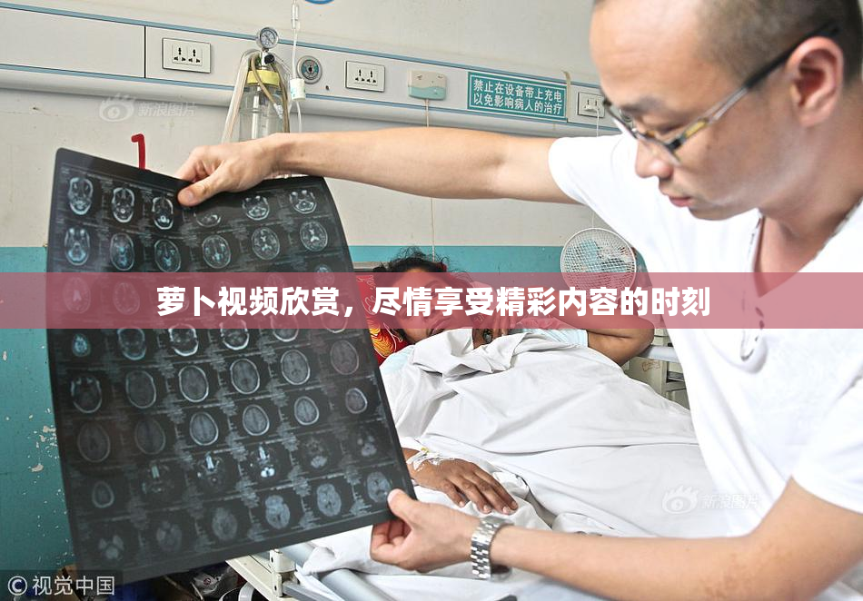 萝卜视频欣赏，尽情享受精彩内容的时刻