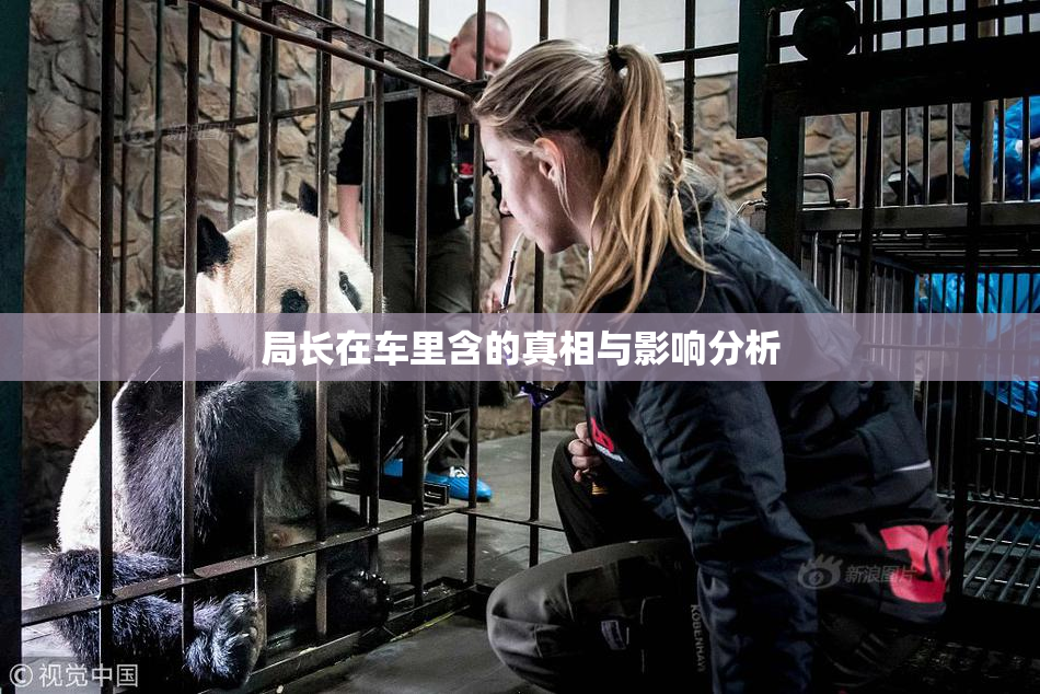 局长在车里含的真相与影响分析