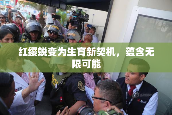 红缨蜕变为生育新契机，蕴含无限可能