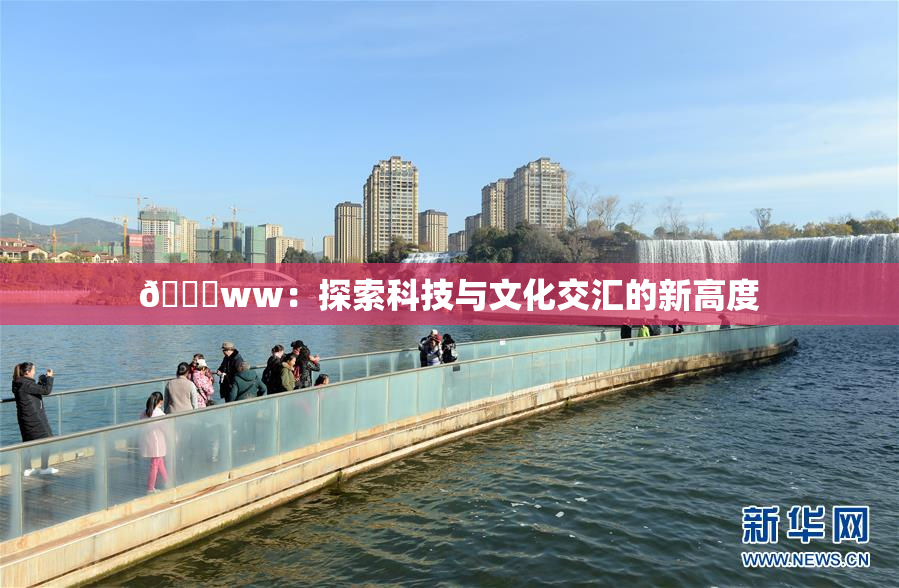 🔞ww：探索科技与文化交汇的新高度