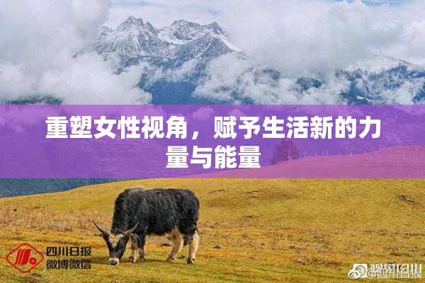 重塑女性视角，赋予生活新的力量与能量