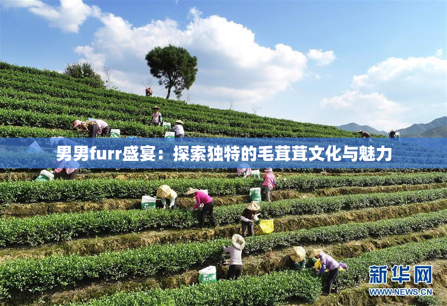 男男furr盛宴：探索独特的毛茸茸文化与魅力