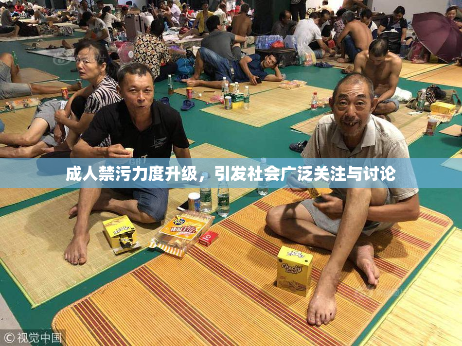 成人禁污力度升级，引发社会广泛关注与讨论
