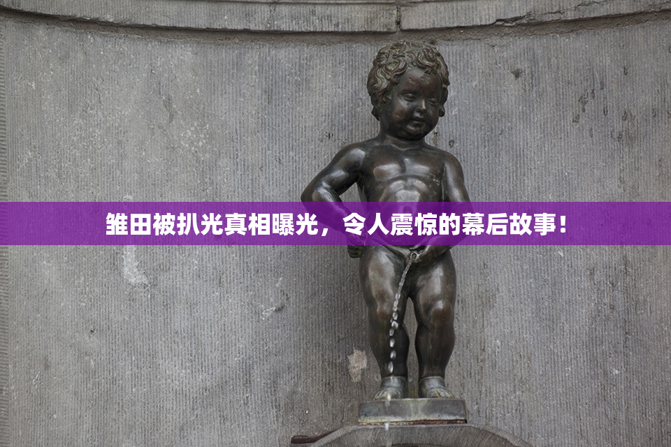 雏田被扒光真相曝光，令人震惊的幕后故事！