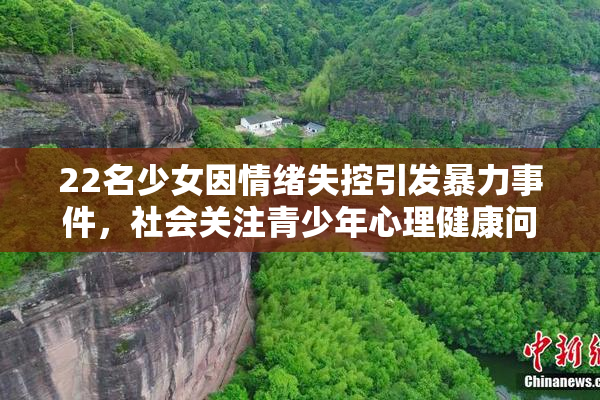 22名少女因情绪失控引发暴力事件，社会关注青少年心理健康问题