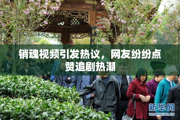 销魂视频引发热议，网友纷纷点赞追剧热潮