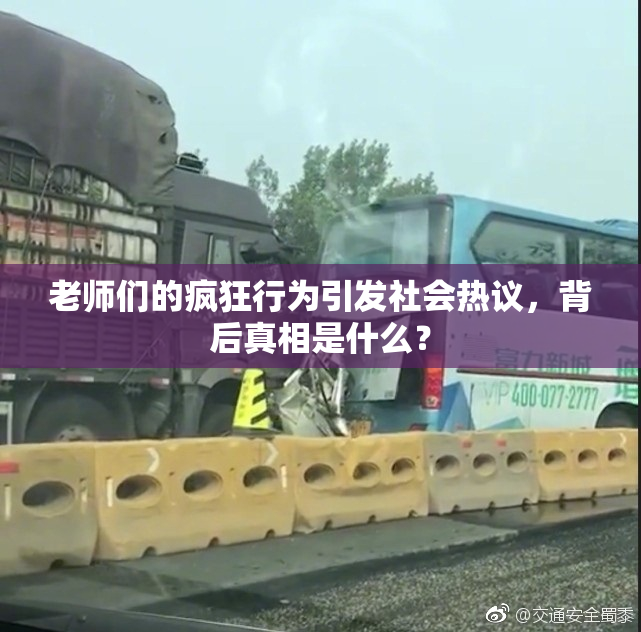 老师们的疯狂行为引发社会热议，背后真相是什么？