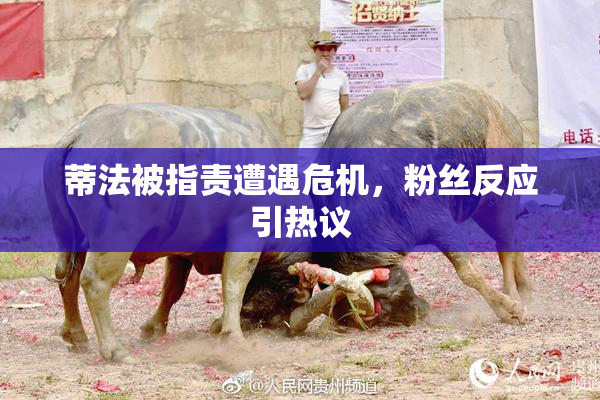 蒂法被指责遭遇危机，粉丝反应引热议