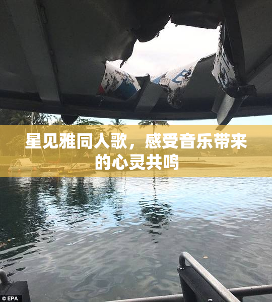 星见雅同人歌，感受音乐带来的心灵共鸣
