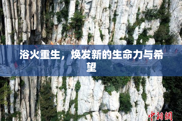 浴火重生，焕发新的生命力与希望