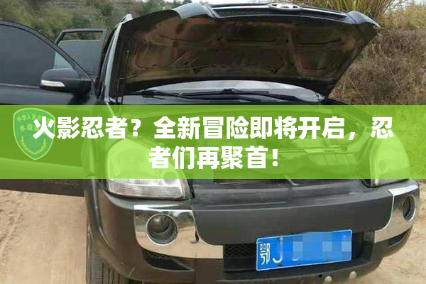 火影忍者？全新冒险即将开启，忍者们再聚首！