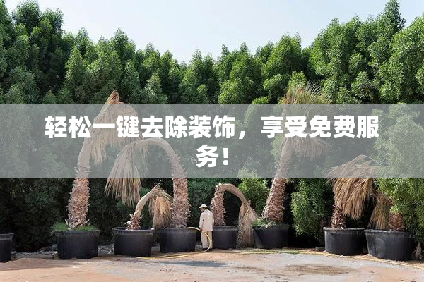 轻松一键去除装饰，享受免费服务！