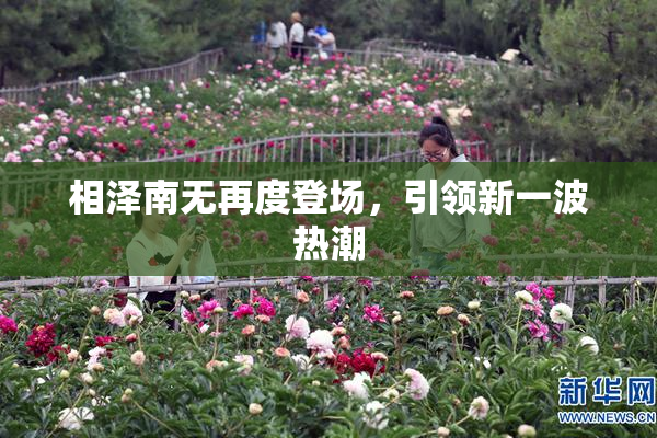 相泽南无再度登场，引领新一波热潮