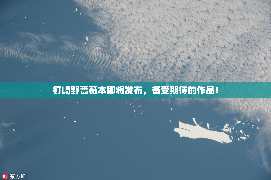 钉崎野蔷薇本即将发布，备受期待的作品！
