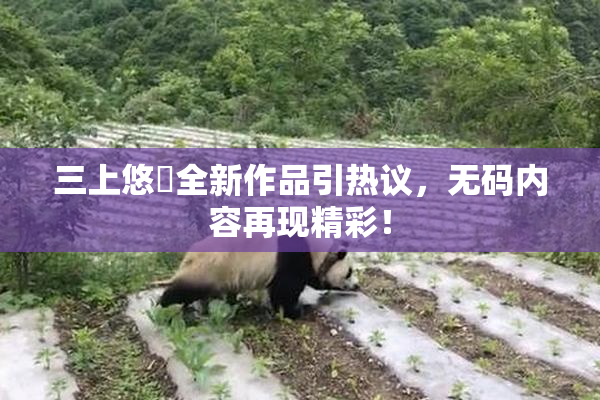 三上悠亜全新作品引热议，无码内容再现精彩！