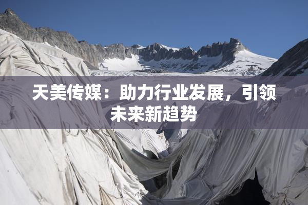 天美传媒：助力行业发展，引领未来新趋势