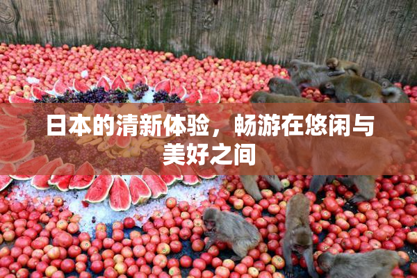 日本的清新体验，畅游在悠闲与美好之间