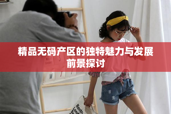 精品无码产区的独特魅力与发展前景探讨