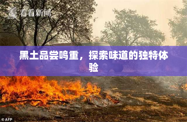黑土品尝鸣重，探索味道的独特体验