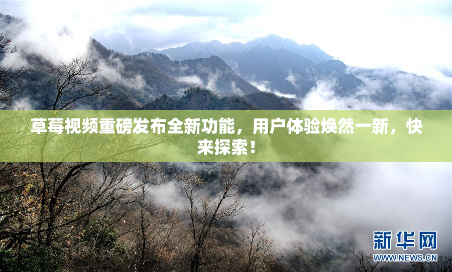 草莓视频重磅发布全新功能，用户体验焕然一新，快来探索！