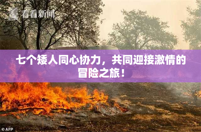 七个矮人同心协力，共同迎接激情的冒险之旅！