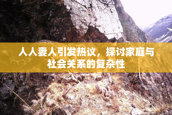 人人妻人引发热议，探讨家庭与社会关系的复杂性