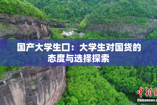 国产大学生囗：大学生对国货的态度与选择探索
