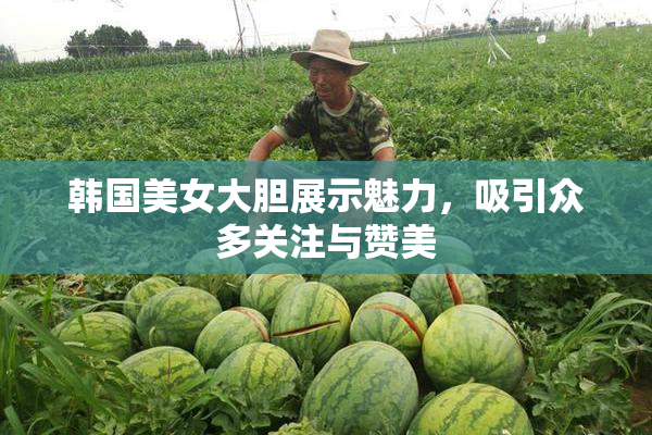 韩国美女大胆展示魅力，吸引众多关注与赞美