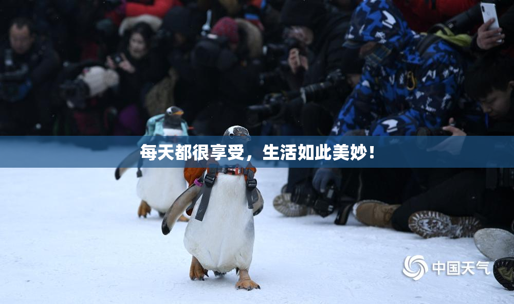 每天都很享受，生活如此美妙！