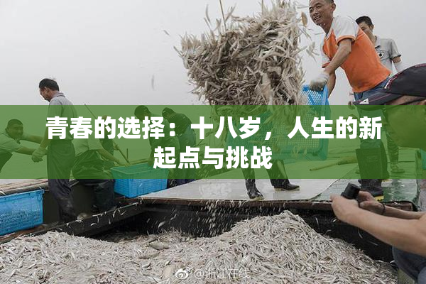 青春的选择：十八岁，人生的新起点与挑战