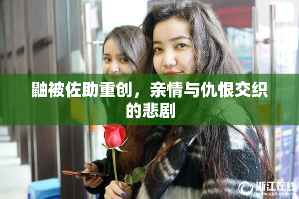 鼬被佐助重创，亲情与仇恨交织的悲剧