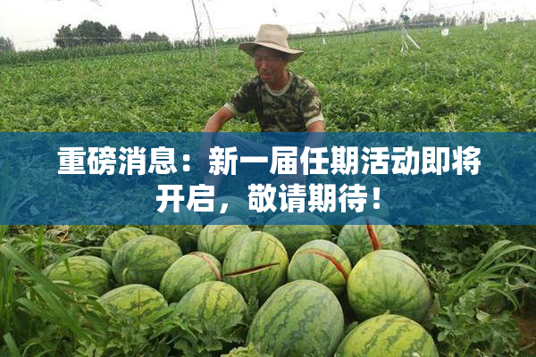 重磅消息：新一届任期活动即将开启，敬请期待！