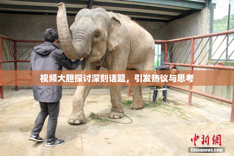视频大胆探讨深刻话题，引发热议与思考