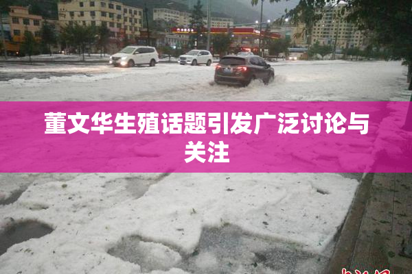 董文华生殖话题引发广泛讨论与关注