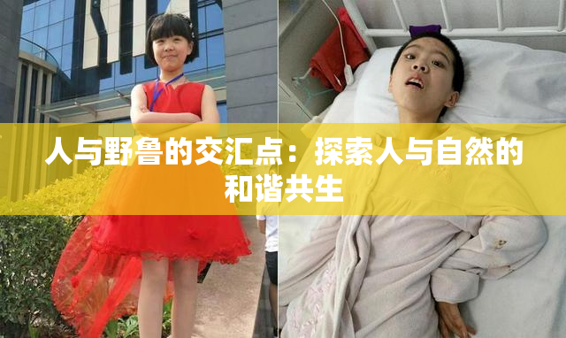 人与野鲁的交汇点：探索人与自然的和谐共生
