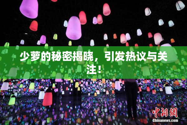 少萝的秘密揭晓，引发热议与关注！