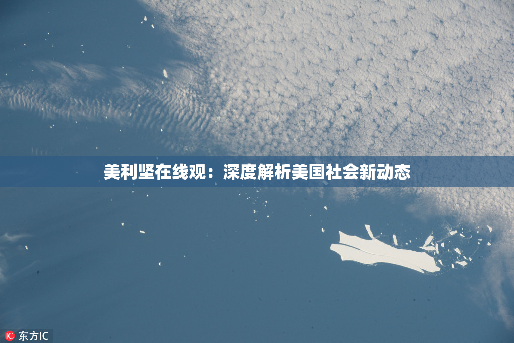 美利坚在线观：深度解析美国社会新动态