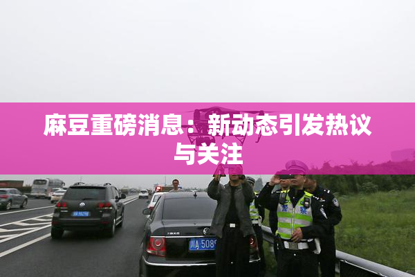 麻豆重磅消息：新动态引发热议与关注