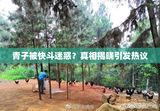 青子被快斗迷惑？真相揭晓引发热议