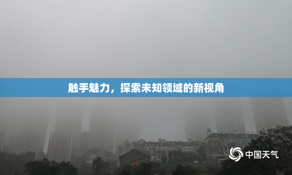 触手魅力，探索未知领域的新视角