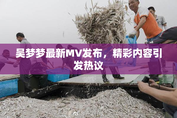 吴梦梦最新MV发布，精彩内容引发热议