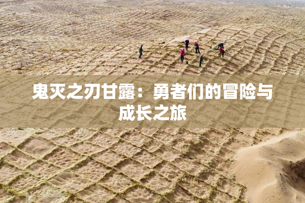 鬼灭之刃甘露：勇者们的冒险与成长之旅