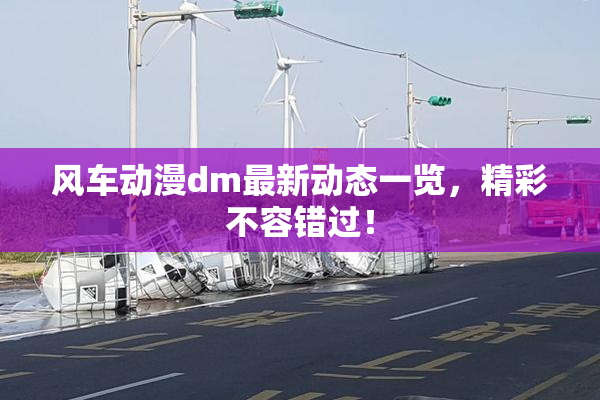 风车动漫dm最新动态一览，精彩不容错过！