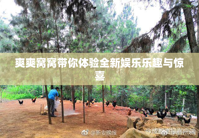 爽爽窝窝带你体验全新娱乐乐趣与惊喜