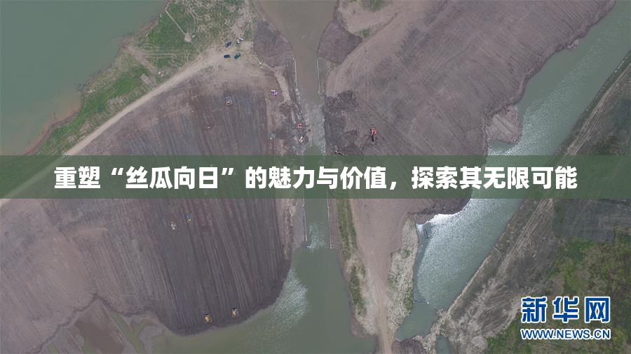 重塑“丝瓜向日”的魅力与价值，探索其无限可能