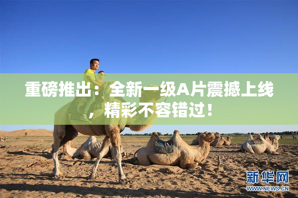 重磅推出：全新一级A片震撼上线，精彩不容错过！