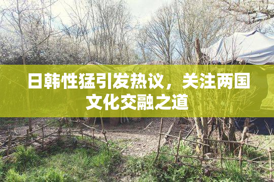 日韩性猛引发热议，关注两国文化交融之道