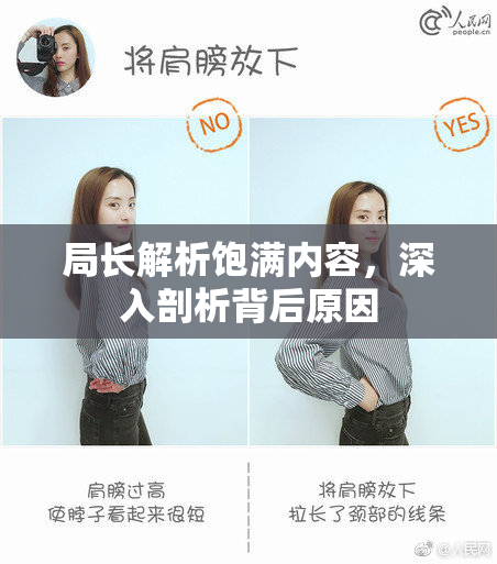 局长解析饱满内容，深入剖析背后原因
